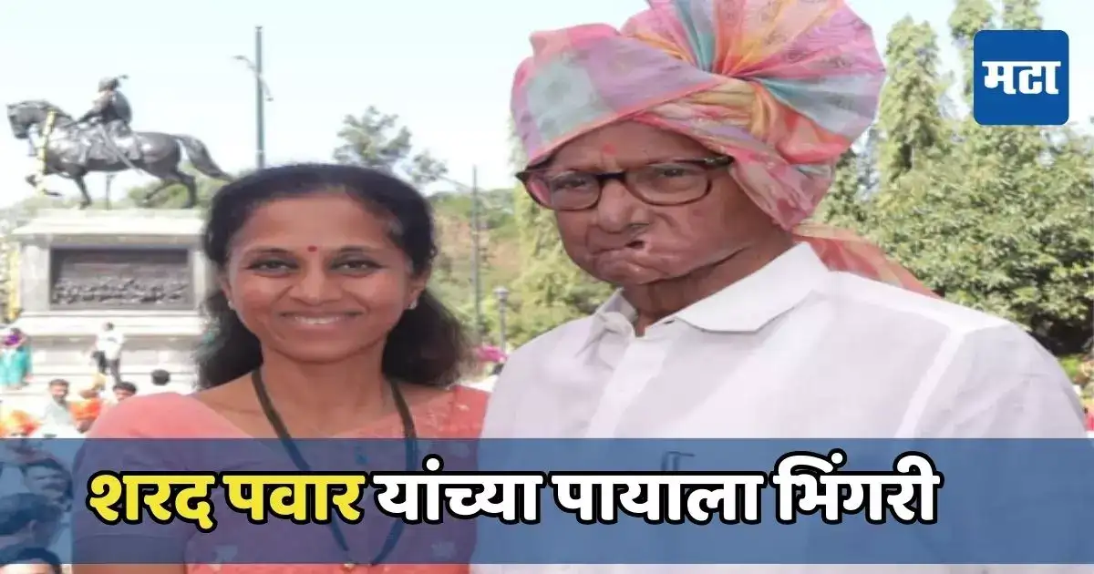 भेटीगाठी, सभा आणि भाषणं… शरद पवारांच्या पायाला भिंगरी, बारामतीत एकापाठोपाठ एक कार्यक्रम भेटीगाठी, सभा आणि भाषणं… शरद पवारांच्या पायाला भिंगरी, बारामतीत एकापाठोपाठ एक कार्यक्रम