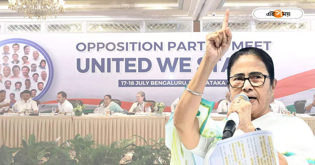 Mamata Banerjee,‘আমি তৈরি করেছি…ভোটের পর দেখে নেব!’ INDIA জোট প্রসঙ্গে কী বললেন মমতা? – mamata banerjee clarified about trinamool congress position in india bloc alliance