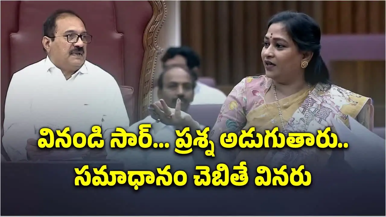 నువ్వెవరకు నాకు చెప్పడానికి.. మండలిలో వైసీపీ సభ్యులకు హోం మంత్రి కౌంటర్