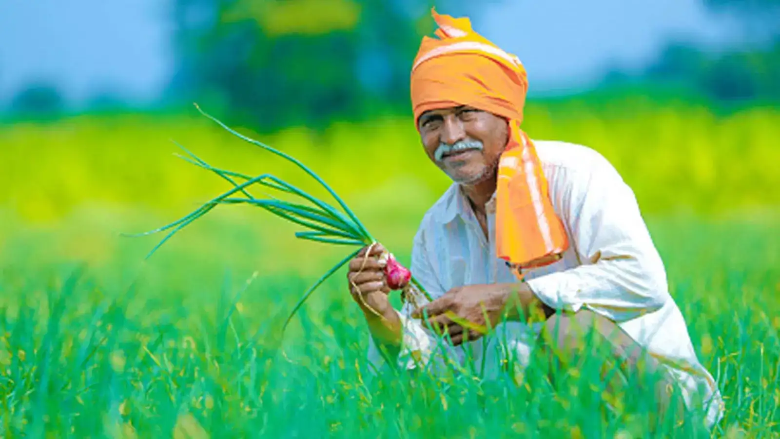 రేవంత్ సర్కార్ కీలక నిర్ణయం.. కొత్తగా 2.74లక్షల మంది రైతులకు బీమా..!