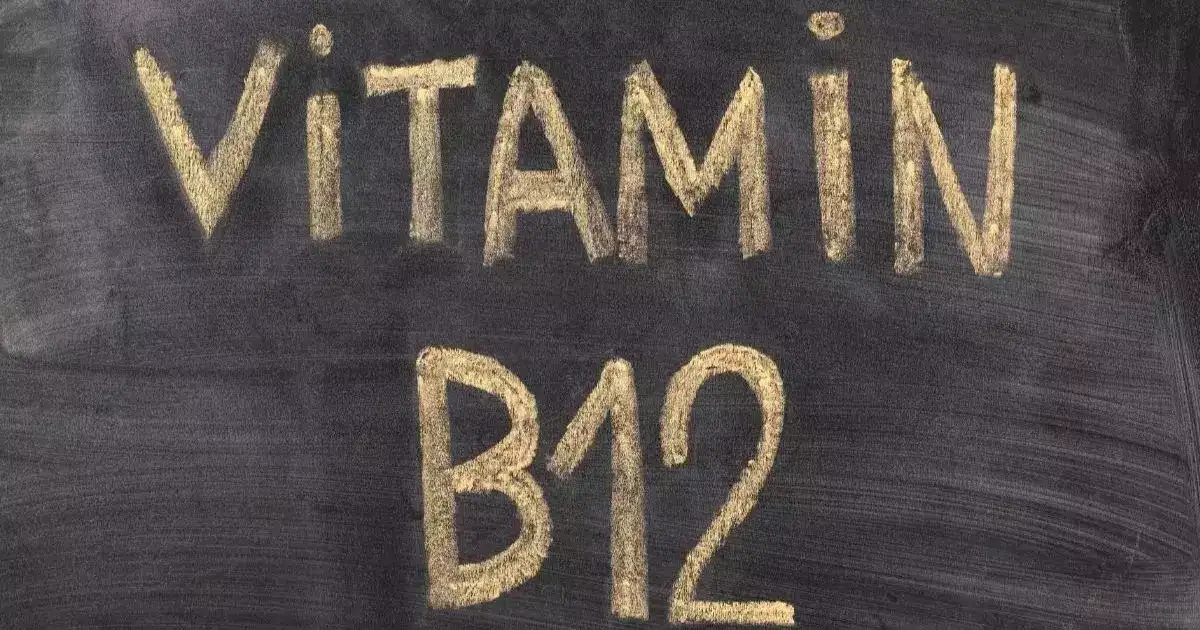 Vitamin B12 Foods In Tamil,வைட்டமின் பி 12 கம்மியா இருந்த இவ்ளோ ஆபத்தா