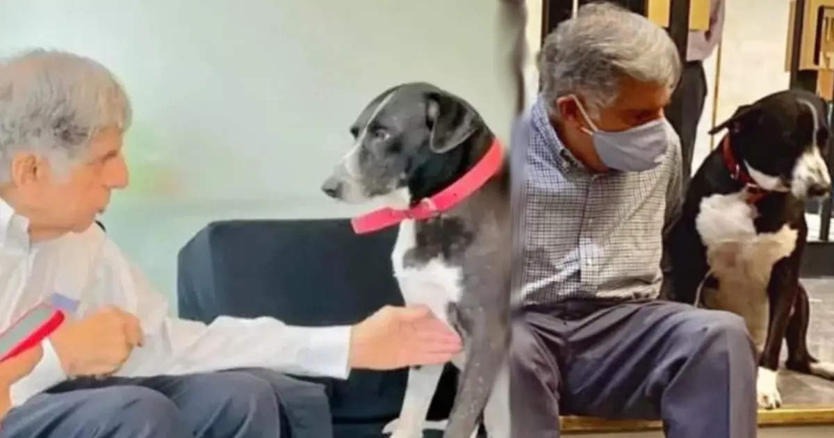 Did Ratan Tata's dog 'GOA' Die Just 3 Days After His passing? Know The Truth