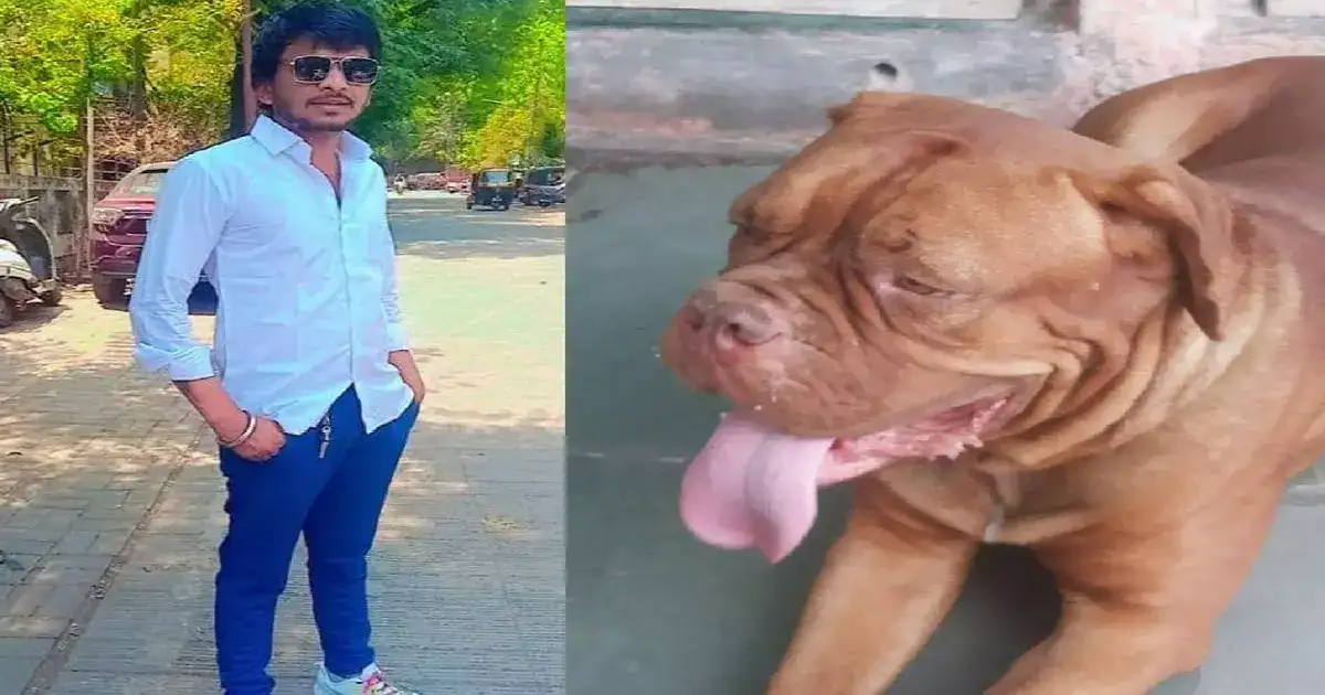 राख अंगावर पडल्याने तरुण संतापला; शेजारच्यावर सोडला पिटबूल कुत्रा, घटनेत मुलगा गंभीर जखमी राख अंगावर पडल्याने तरुण संतापला; शेजारच्यावर सोडला पिटबूल कुत्रा, घटनेत मुलगा गंभीर जखमी