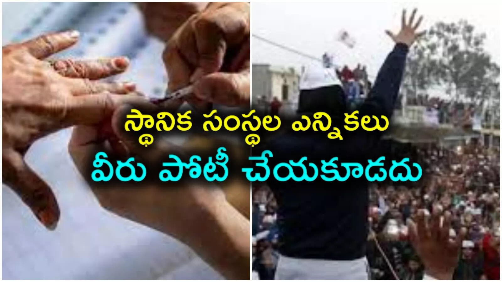 స్థానిక సంస్థల ఎన్నికలు.. కాంట్రాక్టర్లు సహా వీరంతా పోటీకి అనర్హులు.. రేషన్ డీలర్లు పోటీ చేయవచ్చా