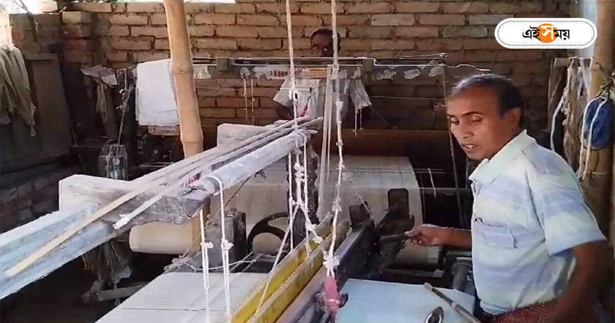 Handloom Saree : হাতে বোনা শাড়ির বাজার কেড়েছে রেডিমেড টেক্সটাইল, পুজোর আগে মাথায় হাত তাঁত শিল্পীদের – handloom saree demand decreasing badly effects malda weaver artists income