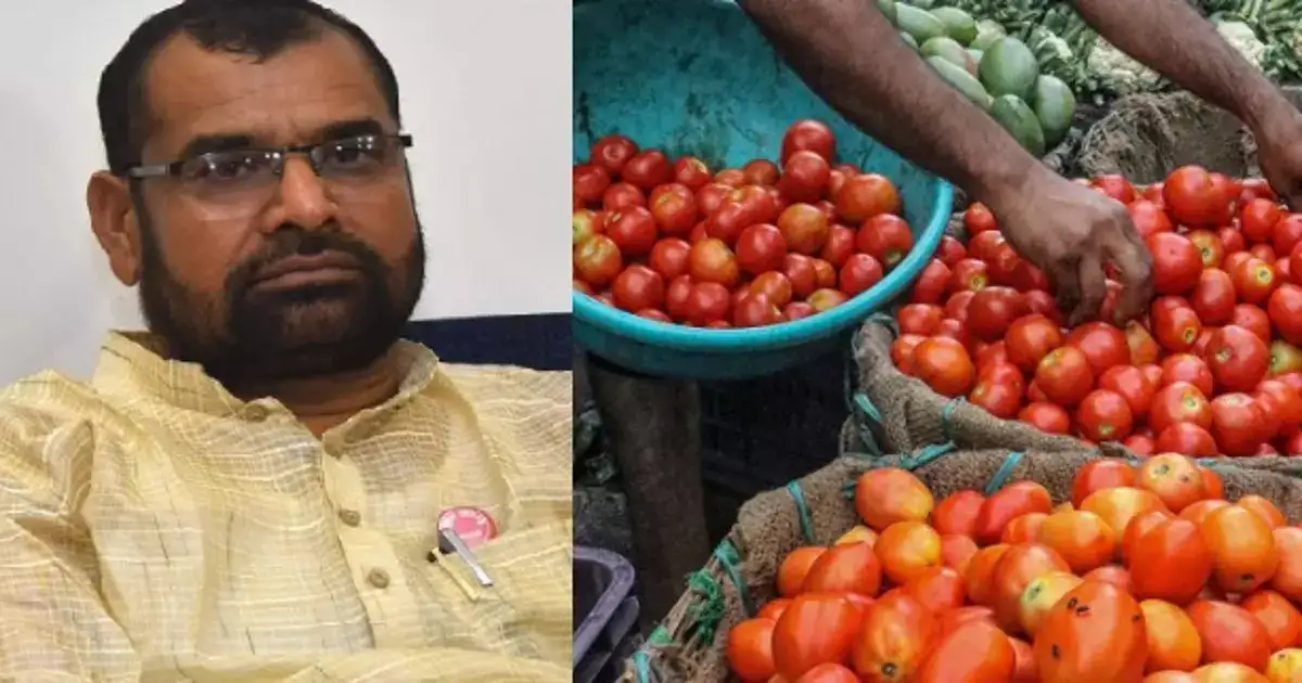 Tomato: टोमॅटो मिळाला नाही तर कोणी टाचा खुडून मेलेय का? ती जीवनावश्यक वस्तू नाही: सदाभाऊ खोत Tomato: टोमॅटो मिळाला नाही तर कोणी टाचा खुडून मेलेय का? ती जीवनावश्यक वस्तू नाही: सदाभाऊ खोत