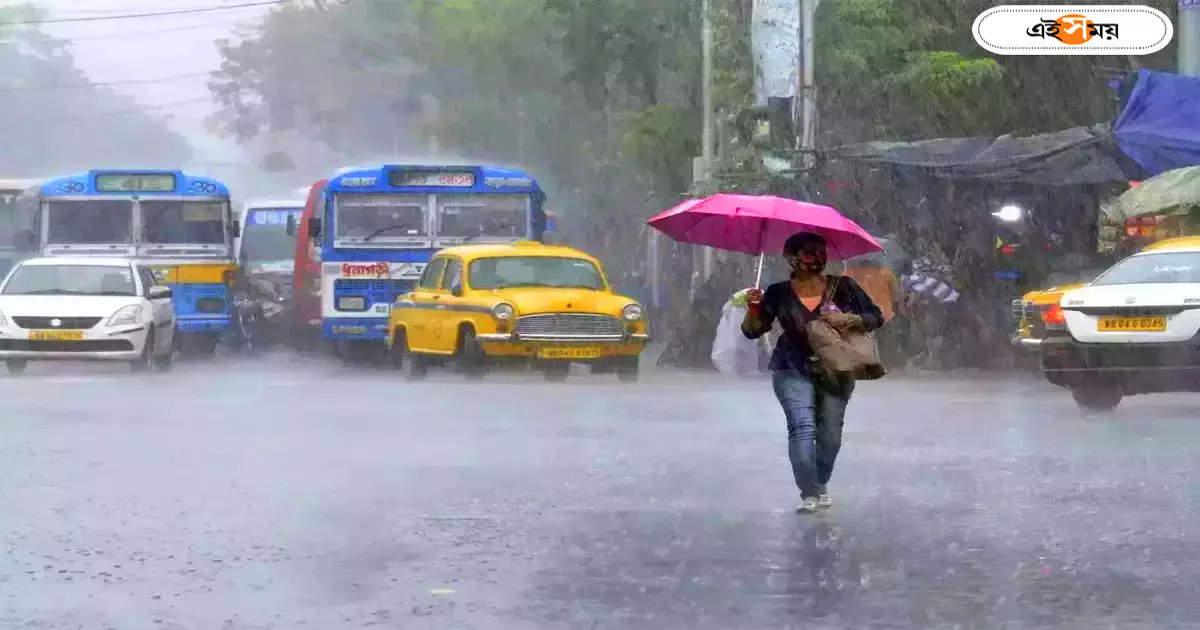 Kolkata Weather Update : সরস্বতী পুজোয় ভিজবে কলকাতাও? দক্ষিণবঙ্গের একাধিক জেলায় বৃষ্টির পূর্বাভাস – weather forecast in kolkata february 13 light rain forecast in south bengal