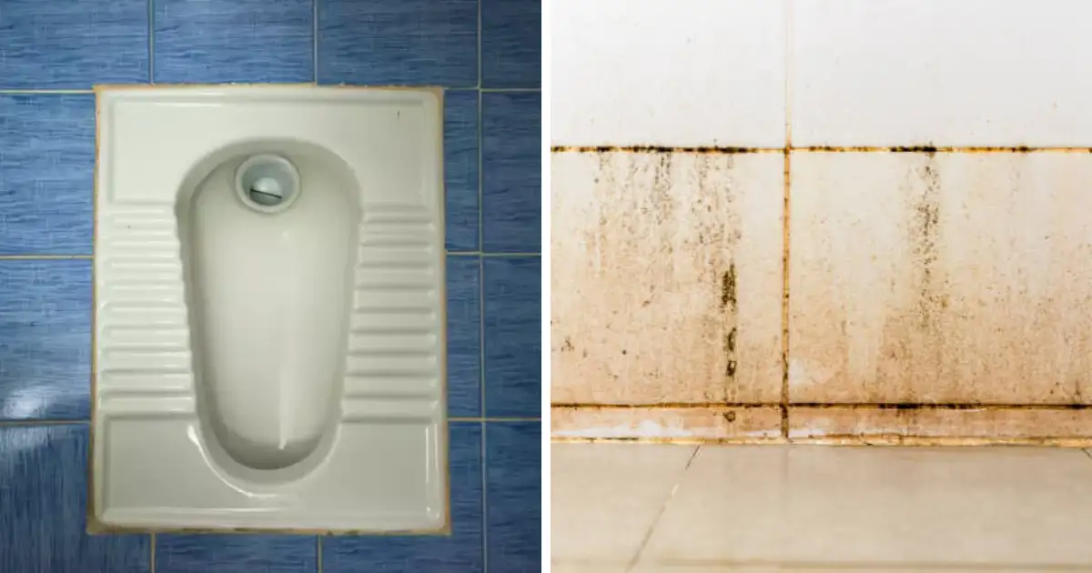 Easy Home Remedies To Clean Indian Toilet Without Chemical Cleaner