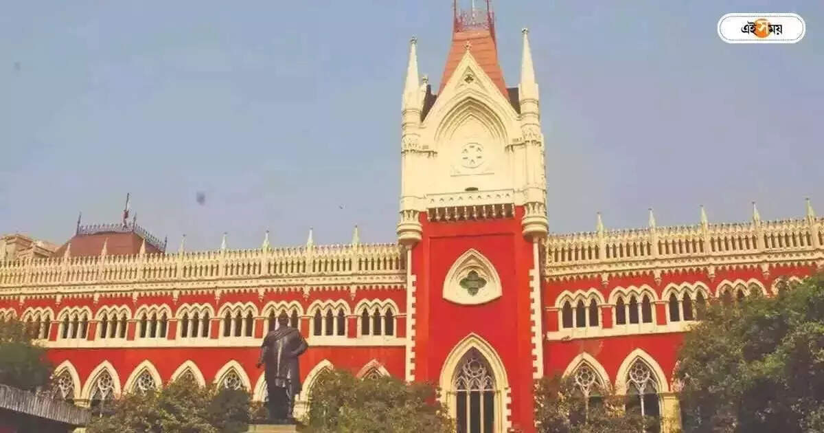 Calcutta High Court : অভিযোগ গুরুতর! এসপি-র রিপোর্ট দেওয়ার নির্দেশ কোর্টের – calcutta high court directed sp of islampur police district to submit a detailed report of an incident