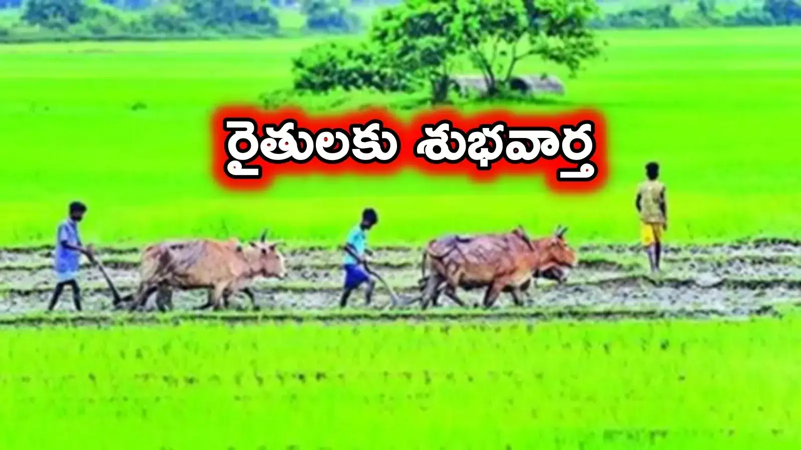 Farmers: తెలంగాణ రైతులకు శుభవార్త.. మరో కార్యక్రమానికి రంగం సిద్ధం..