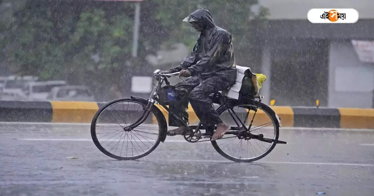 WB Heavy Rainfall Forecast: দিনভর একটানা বৃষ্টি, এই জেলাগুলিতে আরও বাড়বে দুর্যোগ! – kolkata and south bengal heavy rain fall forecast here is the full weather update