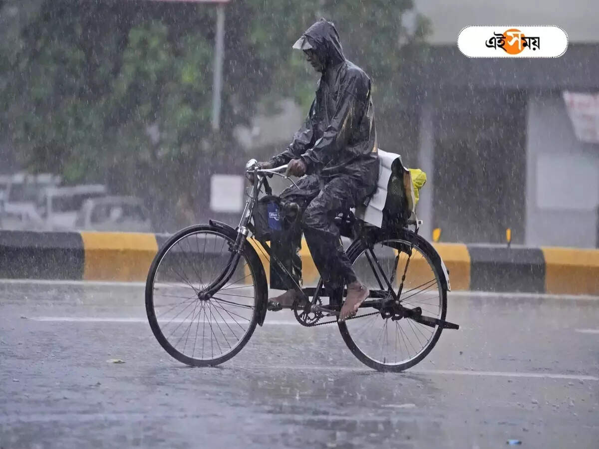 West Bengal Rainfall Update: ফের অস্বস্তিকর গরমে হাসফাঁস দক্ষিণবঙ্গ, কিছুক্ষণের মধ্যেই ঝেঁপে বৃষ্টি এই জেলাগুলিতে – west bengal weather update temperature will increase little bit possibility of rain in upcoming two days