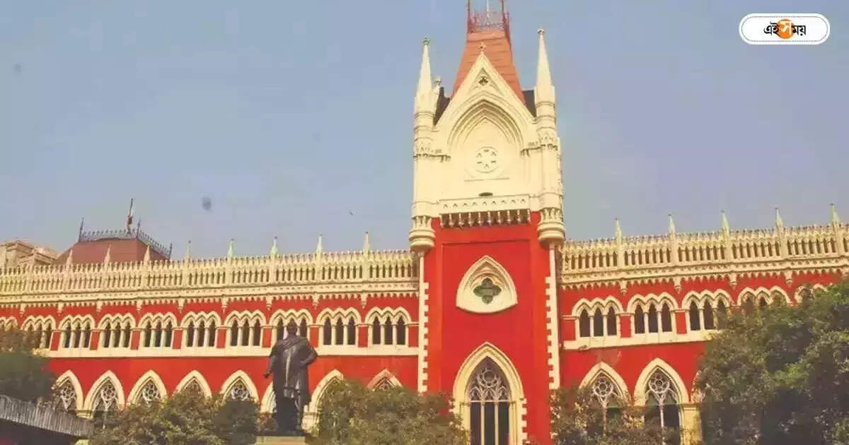 Calcutta High Court : আইনজীবী মা খুন, বিচার চেয়ে হাইকোর্টে আইনজীবী মেয়ে – lawyer daughter by profession approached calcutta high court seeking justice for lawyer mother
