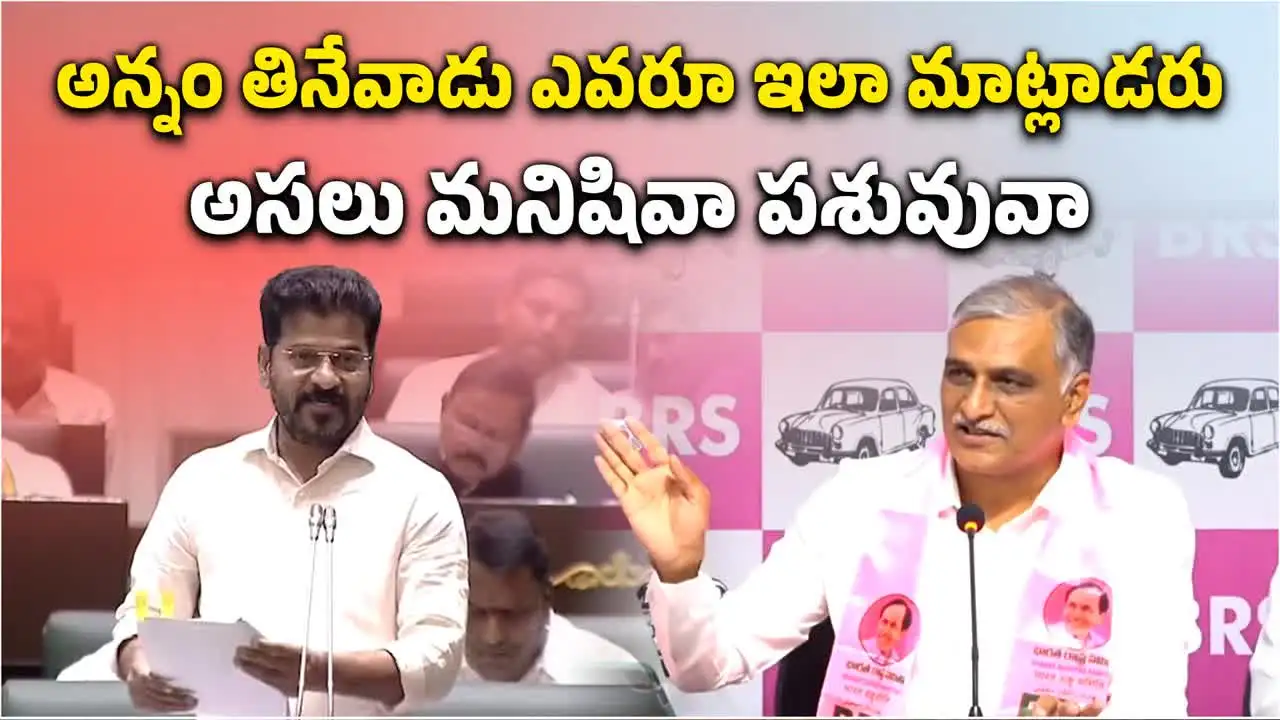 అన్నం తినేవాడు ఎవరూ ఇలా మాట్లాడరు: హరీష్ రావు