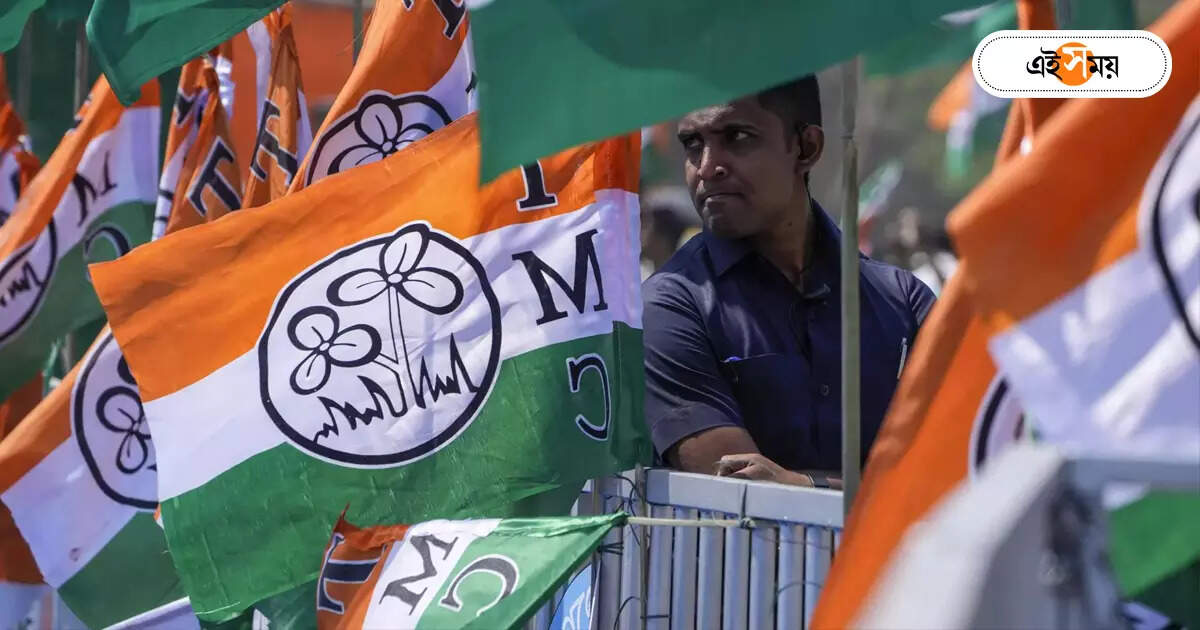 Trinamool Congress : ভাঙড়ে প্রচার শুরু তৃণমূলের, হাত গুটিয়ে বসেই বিরোধীরা – trinamool congress started campaigning in bhangar for lok sabha election