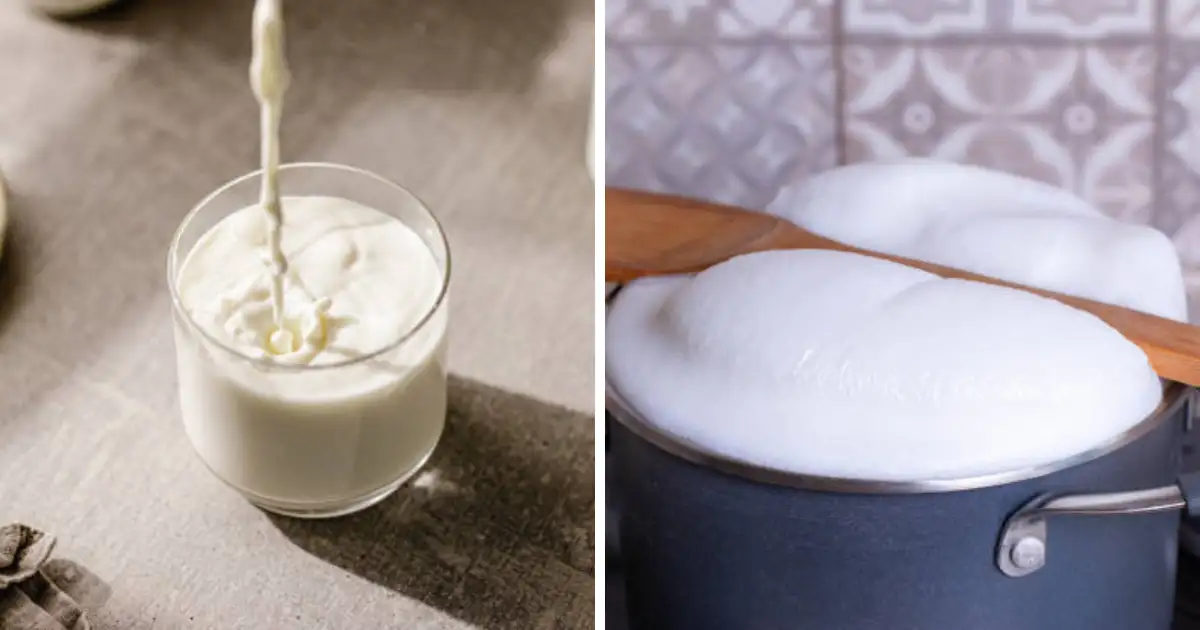 दूध फाटत असेल तर वापरा सोप्या टिप्स; How To Prevent Milk From Curdling