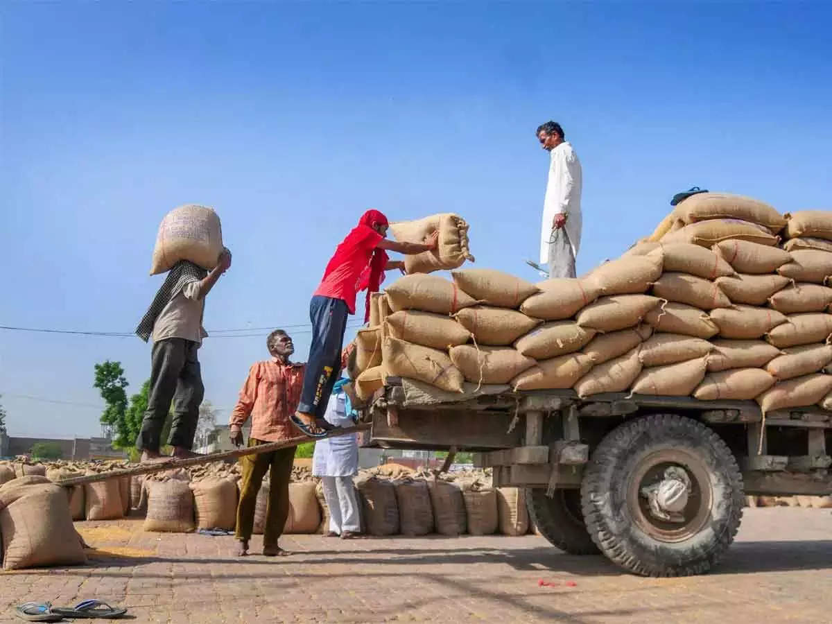 Journey of India: How india become a foodgrain exporter now, who has seen a  famine : जिस भारत ने कभी भुखमरी देखी थी, आज वही भारत निर्यात करता है अनाज