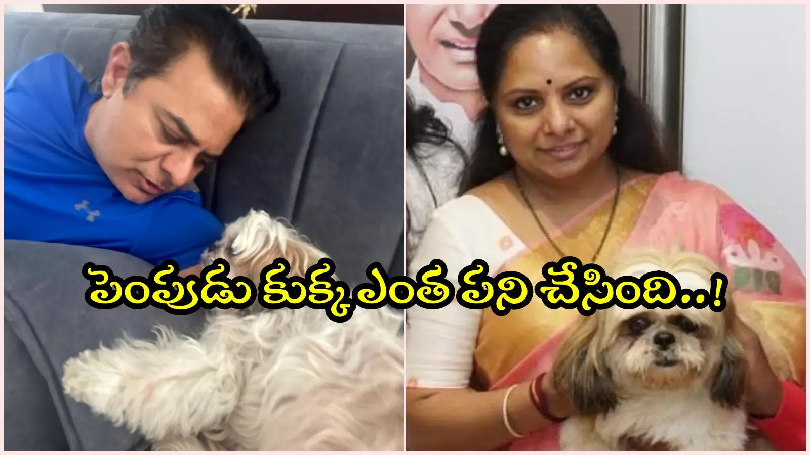 'డాగ్ అన్‌కండీషనల్ లవ్'.. KTR ట్వీట్‌పై సోషల్ మీడియాలో రచ్చ రచ్చ