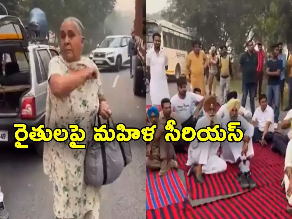 Farmers Protest In Delhi: There is no end to your demands.. The woman is angry with the protesting farmers.. The video is viral