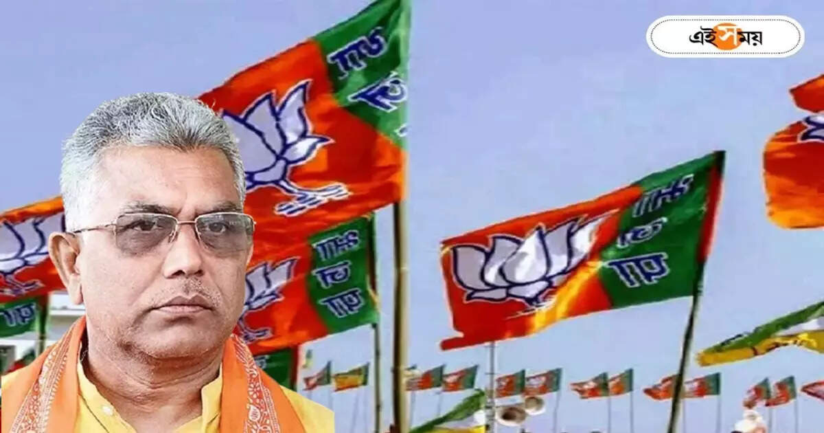 Dilip Ghosh Latest News : মেদিনীপুর না আরও বড় কোনও আসনে লড়াই? ‘জায়ান্ট কিলার’ দিলীপকে নিয়ে জোর চর্চা – from which seat dilip ghosh will contest in lok sabha election speculation is going on