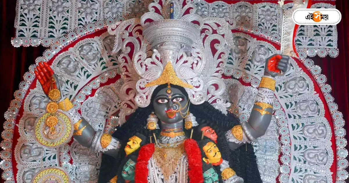 Kali Puja: কালীপুজোর চাঁদা না দেওয়ায় ব্যাপক মারধর, সংকটজনক অবস্থায় হাসপাতালে চিকিৎসক – doctor severely injured as goons beaten up him in demand of money for kali puja