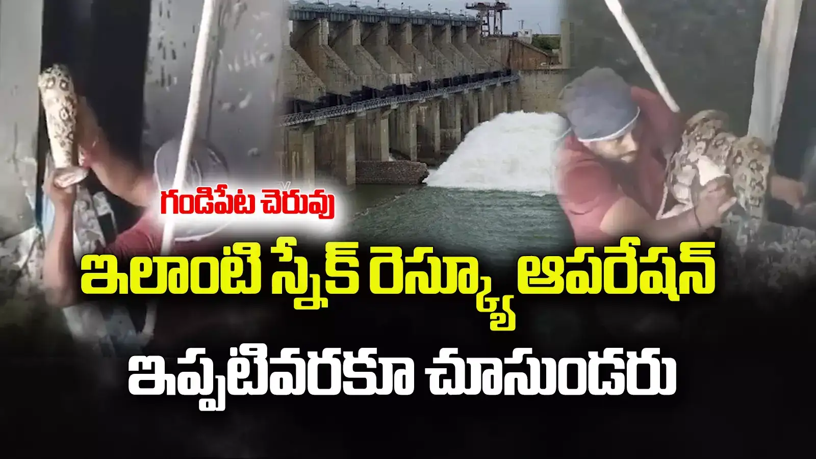 Gandipet: క్రస్ట్ గేట్‌లో ఇరుక్కున్న భారీ కొండచిలువ.. ఇలాంటి స్నేక్ రెస్క్యూ ఆపరేషన్ ఇప్పటివరకూ చూసుండరు