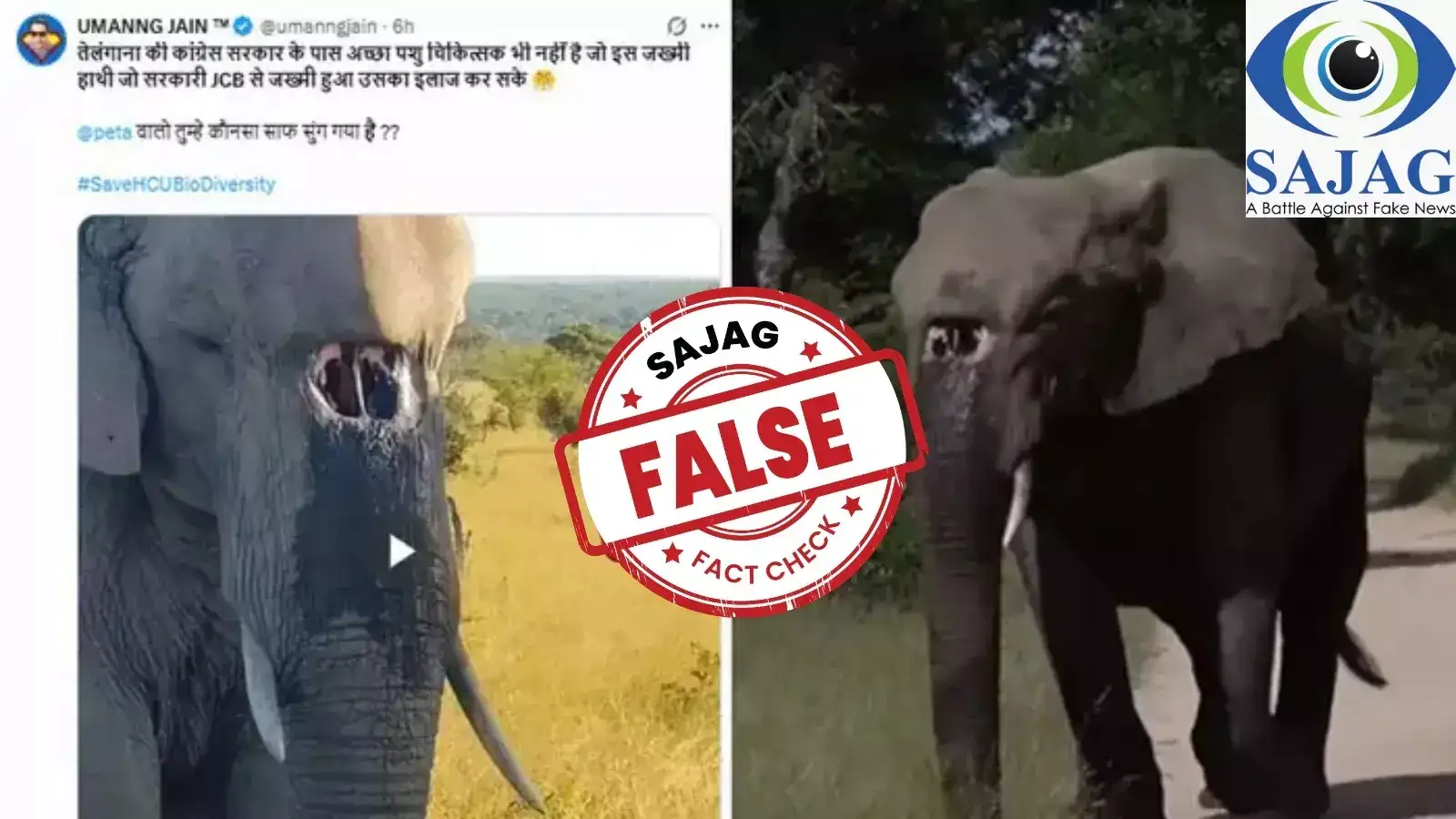 కంచ గచ్చిబౌలి భూముల్లో ఏనుగు గాయపడిందా.. తొండంపై లోతైన గాయం