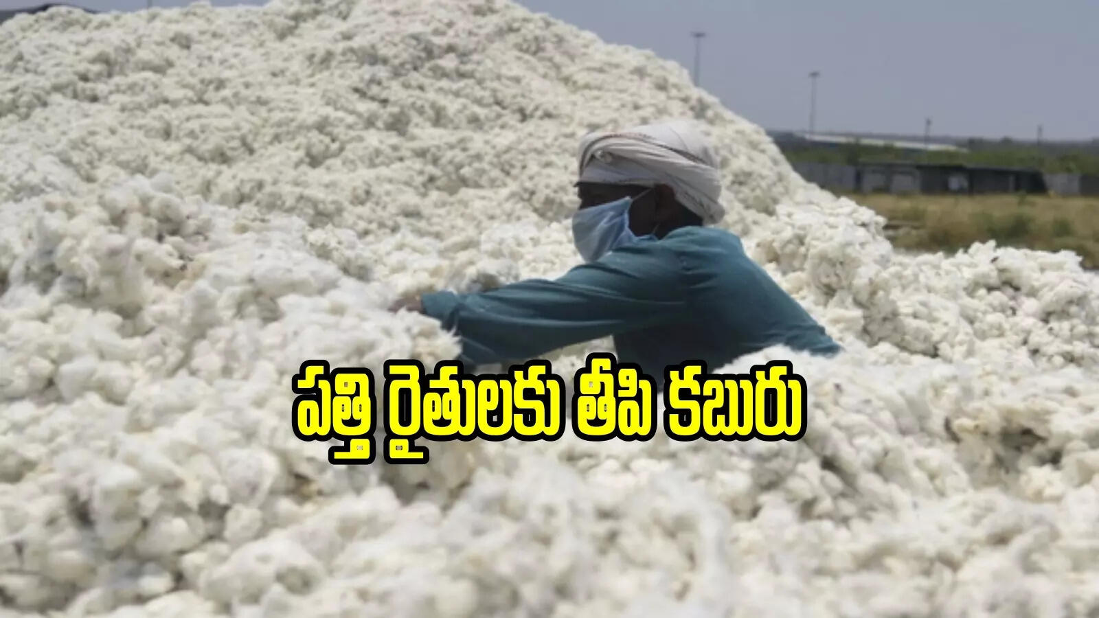 రైతులకు తీపి కబురు.. పత్తి కొనుగోళ్లపై మంత్రి తుమ్మల కీలక ప్రకటన
