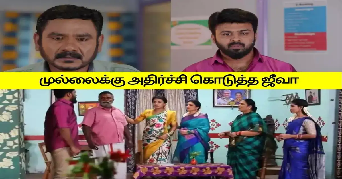 பாண்டியன் ஸ்டோர்ஸ்: பணத்துக்காக அலையும் மூர்த்தி, ஜீவா: கோபத்தில் கத்திய முல்லை அம்மா.! 