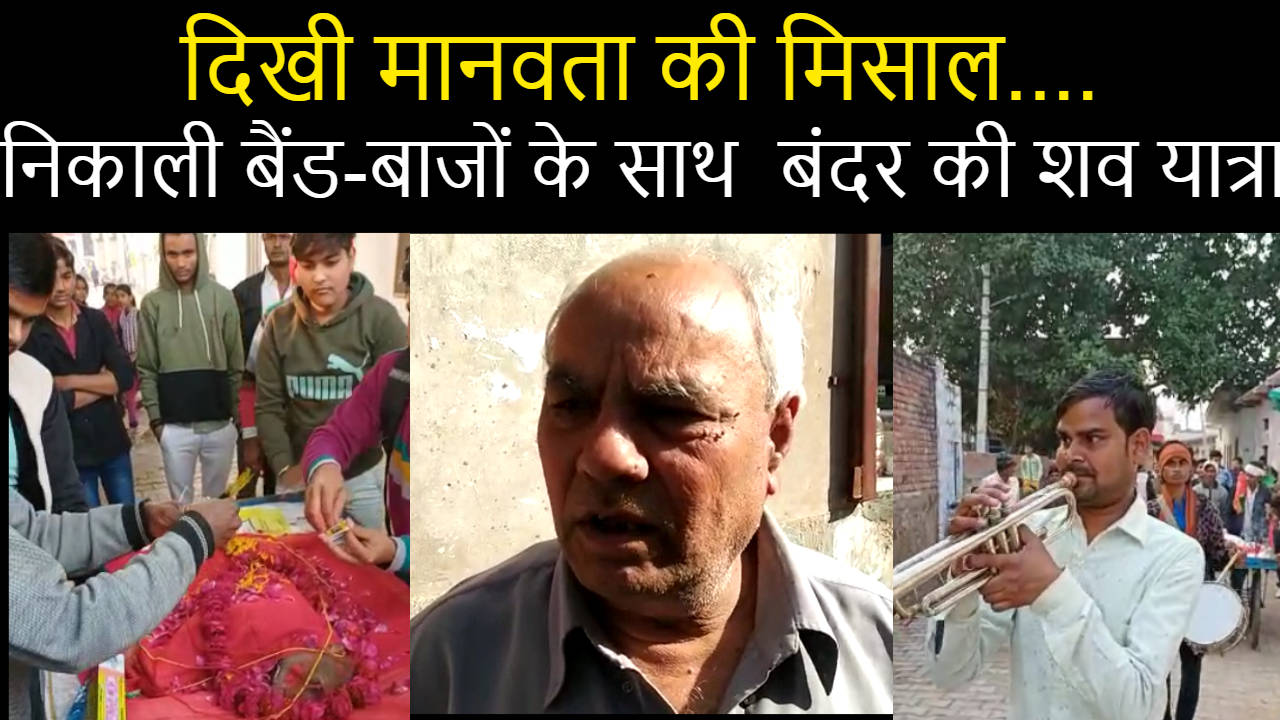 dholpur mei nakli bander ki shav yatra/ video : दिखी मानवता की मिसाल, धौलपुर में निकाली गाजे-बाजों के साथ निकली बंदर की शव यात्रा | Navbharat Times