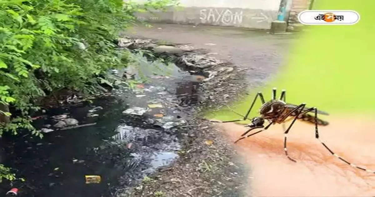 Dengue Fever : নিজের রেকর্ড নিজেই ভেঙে ডেঙ্গিতে উদ্বেগ বাড়াচ্ছে বাংলা – at the end of december dengue cases crossed the lakhs in bengal