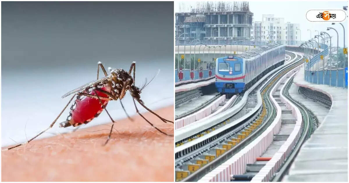 Kolkata Metro : বিধাননগরে ডেঙ্গির বাড়বাড়ন্তে মেট্রোও দায়ী? মুখ্যমন্ত্রীর বক্তব্যে মুখ খুলল কর্তৃপক্ষ – kolkata metro cpro denied cm mamata banerjee comment about bidhannagar dengue situation