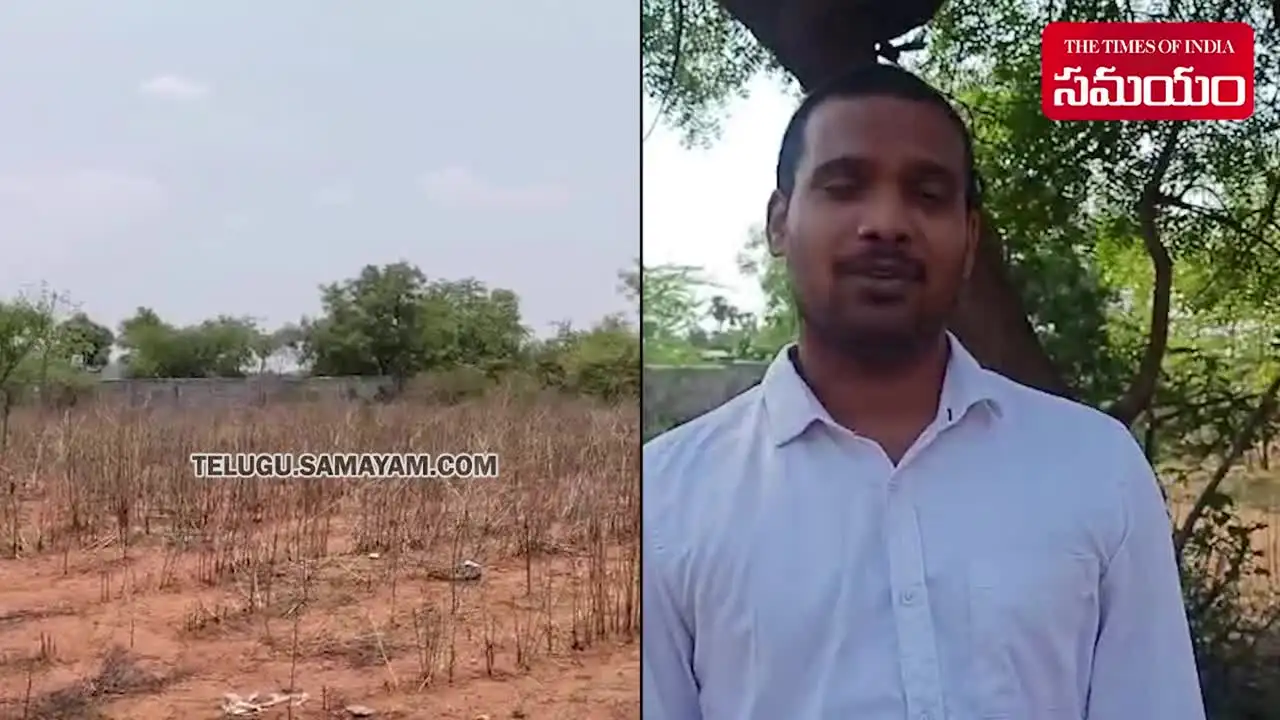 చెట్టుకు దరఖాస్తులు.. తలకిందులుగా వేలాడుతూ.. వినూత్న నిరసన..