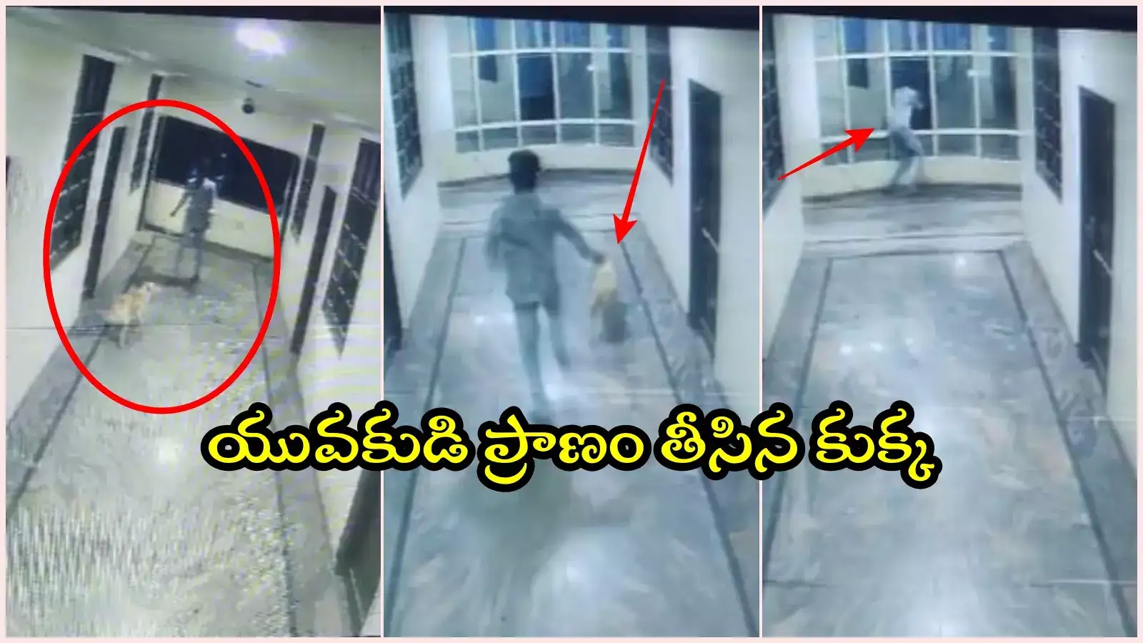 HYD: హోటల్‌లో వెంటపడిన పెంపుడు కుక్క.. మూడో అంతస్తు నుంచి పడి యువకుడు మృతి