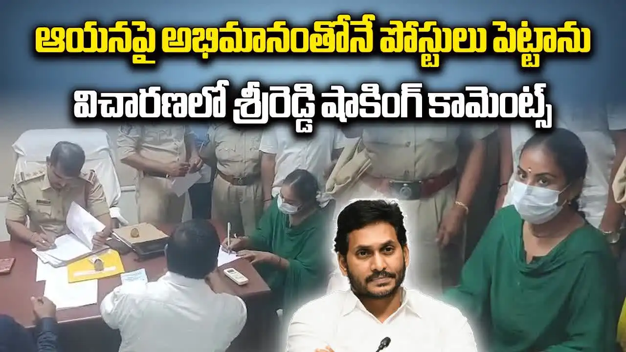 ఆయనపై అభిమానంతోనే పోస్టులు పెట్టాను.. విచారణలో శ్రీరెడ్డి షాకింగ్ కామెంట్స్..