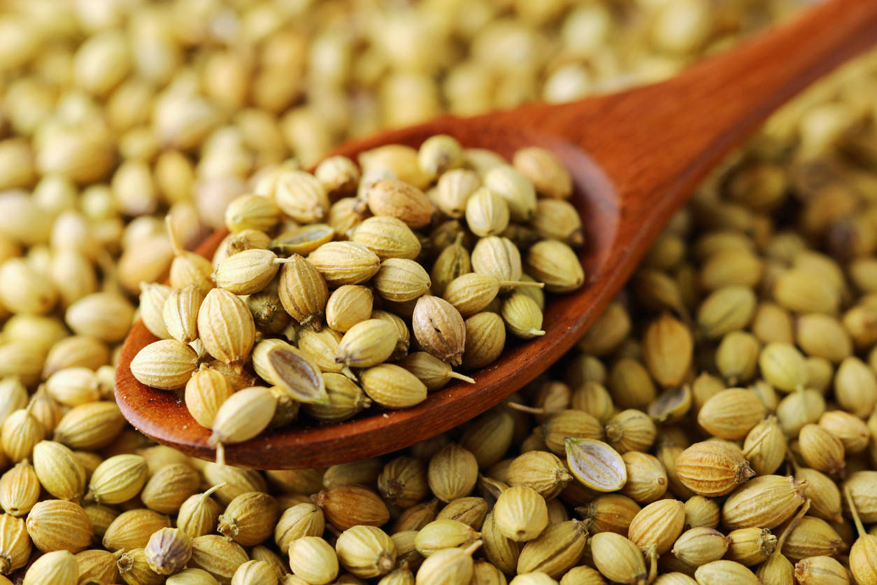 Benefits Of Coriander Seeds,ಕೊತ್ತಂಬರಿ ಬೀಜ ಅಥವಾ ಸೊಪ್ಪು ಹೇಗೆ ಅಳೆದು ತೂಗಿದರೂ,  ಇವು ಸಕತ್ ಆರೋಗ್ಯಕಾರಿ! - you will be surprised to know these health benefits  of coriander seeds or leaves - Vijay Karnataka