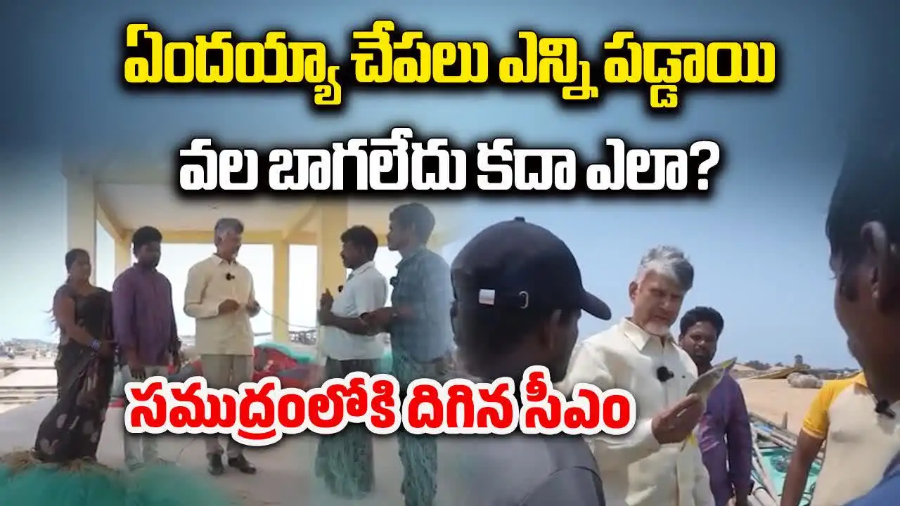 ఏందయ్యా.. చేపలు ఎన్ని పడ్డాయి.. వల బాగలేదు కదా ఎలా..?