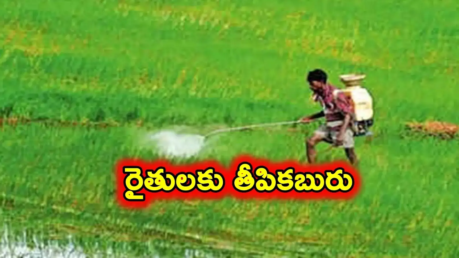 యాసంగిలో కూడా బోనస్.. నేరుగా ఖాతాల్లోకి రూ.11,000.. ఎలా అంటే..?