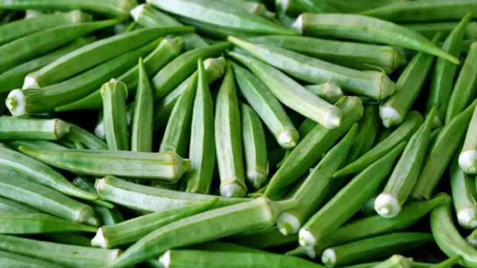 வெண்டைக்காய் விலை வீழ்ச்சி.. இன்றைய காய்கறி விலை நிலவரம்! 