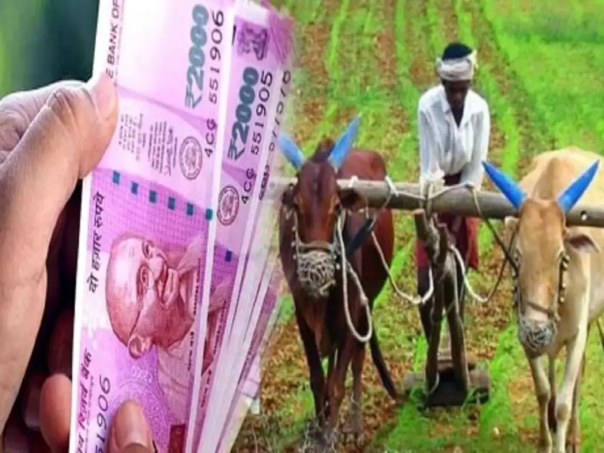pm kisan: விவசாயிகளுக்கு ரூ.2000 நாளை வரப்போகுது.. உங்கள் விவரங்களை செக் பண்ணிக்கோங்க! 