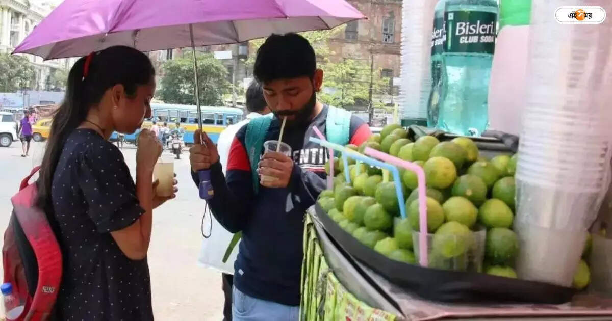 Heat Wave in West Bengal : পোল-পারদের হিটে ফিট থাকাই চ্যালেঞ্জ – political leaders avoided afternoon time to lok sabha election campaign in scorching heat wave