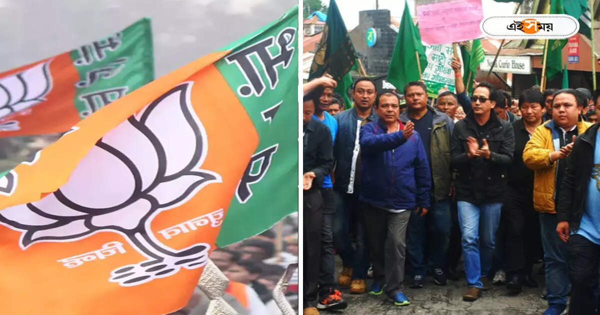 Darjeeling News : ‘পাহাড় সমস্যা’ সমাধানের সম্পূর্ণ আশ্বাস চাই, BJP-র দরবারে জিএনএলএফ-মোর্চা – gjm leader roshan giri with gnlf member meet bjp leadership for their demand on darjeeling