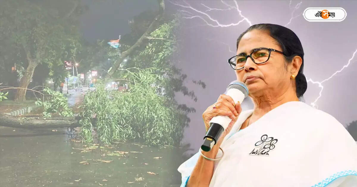 Mamata Banerjee : বজ্রপাতে রাজ্যে মৃত ৯, ক্ষতিগ্রস্তদের পরিবারকে বিশেষ বার্তা মুখ্যমন্ত্রীর – mamata banerjee express grief for nine persons demise in thunderstorm at west bengal
