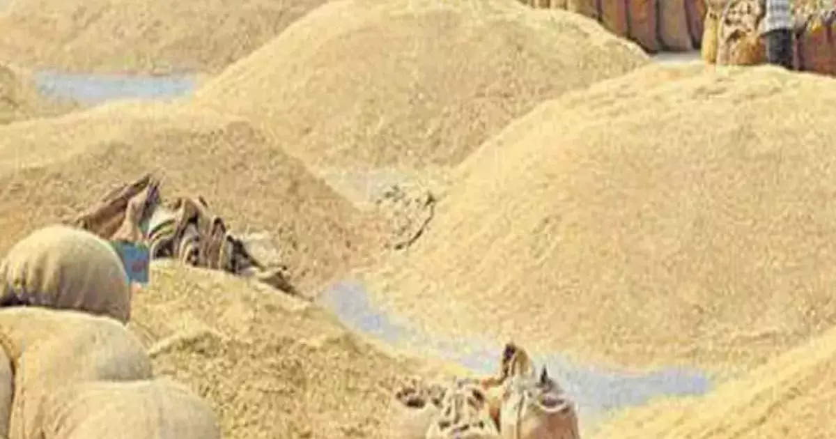 Have BJP-Congress thrown a big wrench in their promise?  Paddy farmers wait for new government, know why procurement is stuck