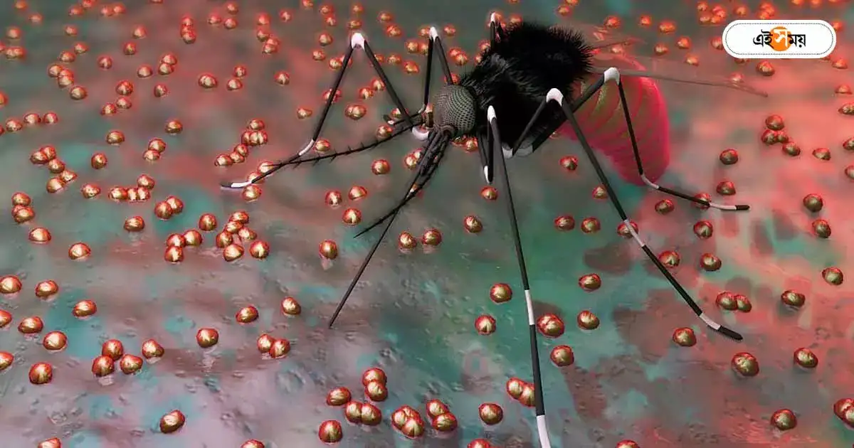 Awareness Mosquito : মশা তাড়াতে ধূপের চেয়েও উপকারী স্নান, বলছে পুরসভা – bathing is more effective than incense to repel mosquitoes according to research