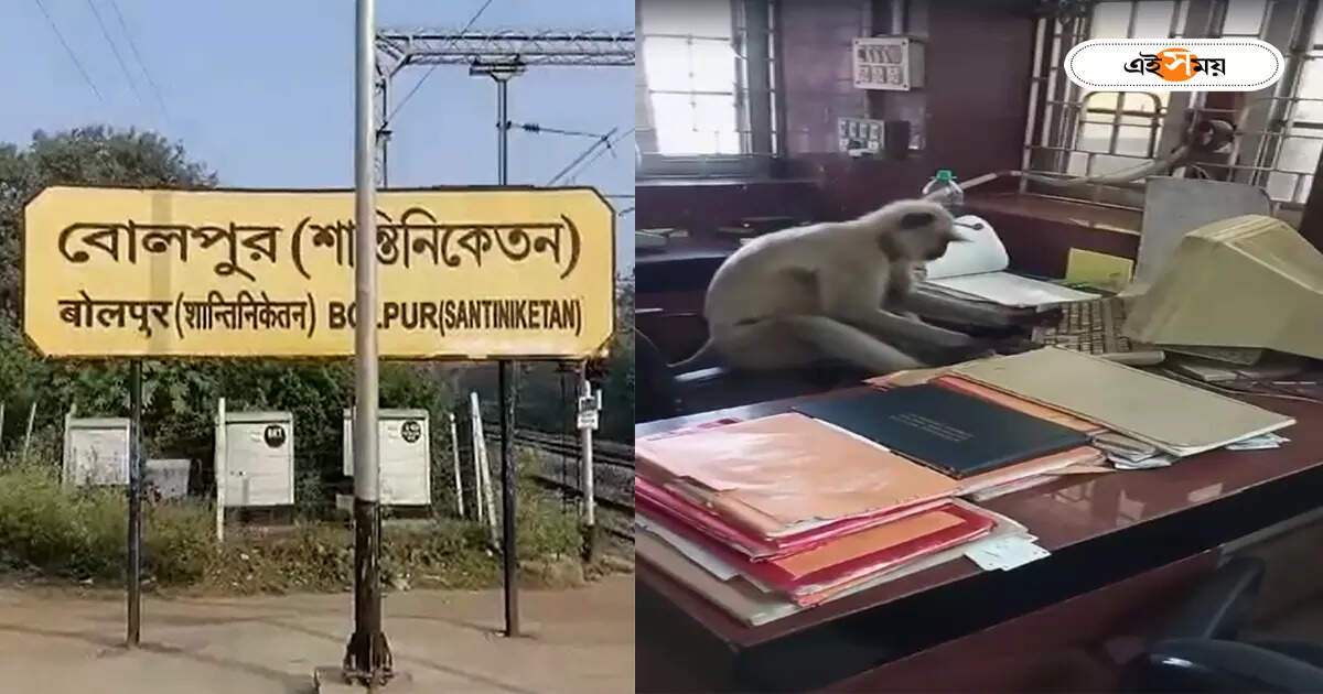 Bolpur Railway Station : রেলের এনকোয়ারি কাউন্টারে কর্মব্যস্ত হনুমানজি! মজার কাণ্ড বোলপুর স্টেশনে, দেখুন ভিডিয়ো – a monkey sitting in bolpur station enquiry counter video goes viral