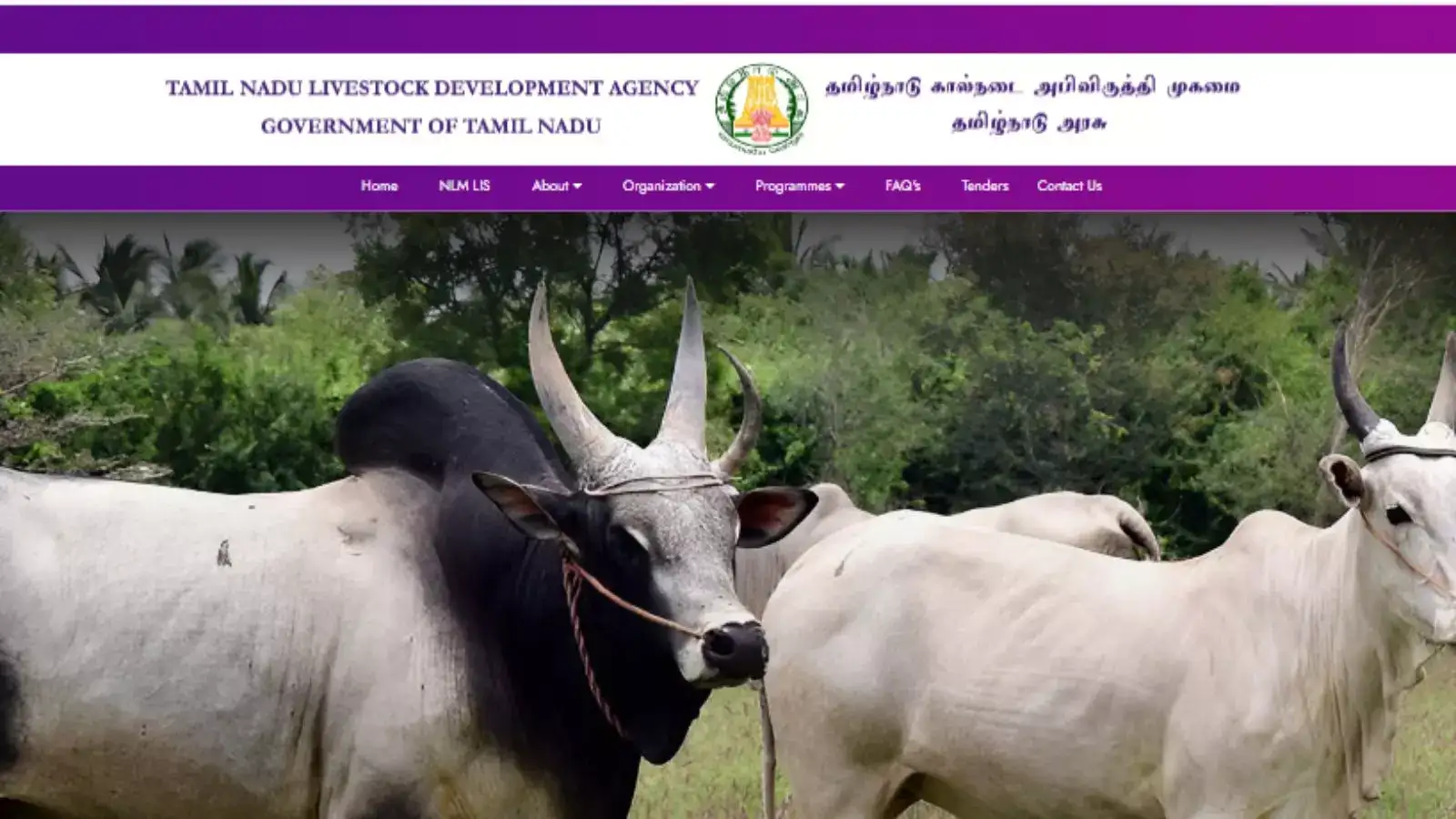 TN Govt Jobs : சென்னையில் அரசு வேலை.. ரூ.50,000 சம்பளம் - தகுதிகள் என்ன.? முழு விவரம் 