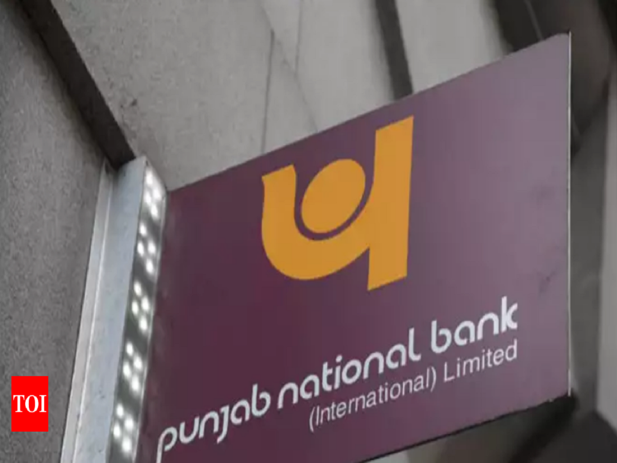 Punjab National Bank Logo Vector - Free Transparent PNG Download - PNGkey