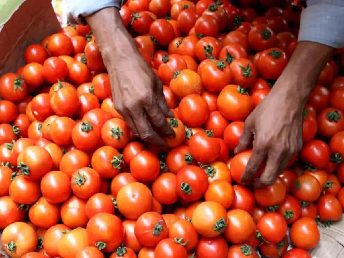 காய்கறி விலை உயர்வு.. கட்டுப்படுத்த தமிழக அரசு திட்டம்! 