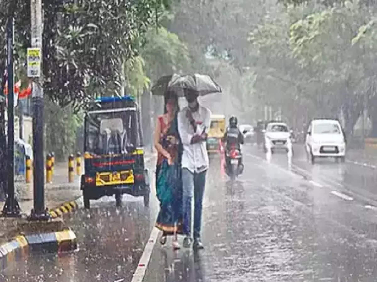 Maharashtra Weather: राज्यात ‘या’ भागात पडणार पाऊस, हवामान खात्याचा अंदाज काय सांगतो? जाणून घ्या